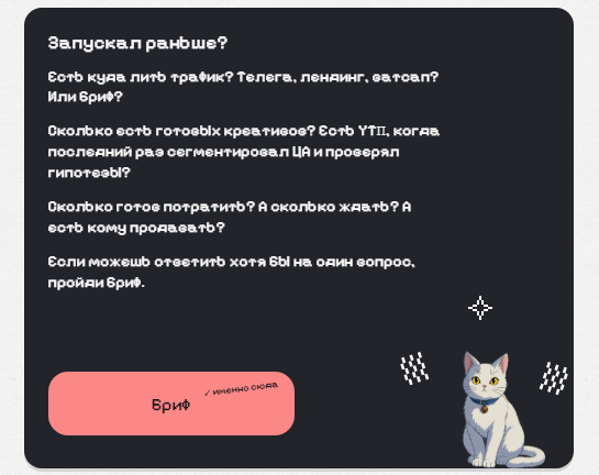 Бриф перед запуском рекламы